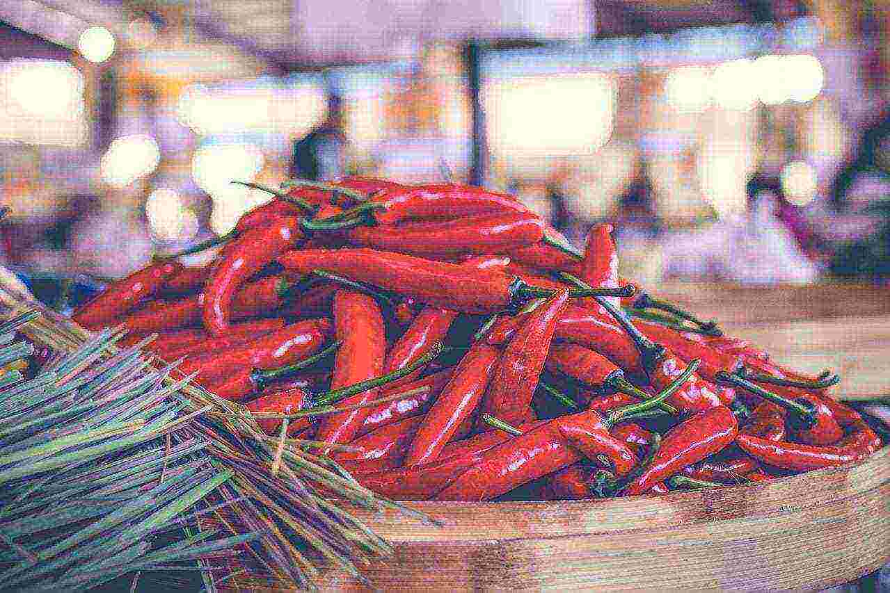 Photo of chilli pepper by Artem Beliaikin via pexels