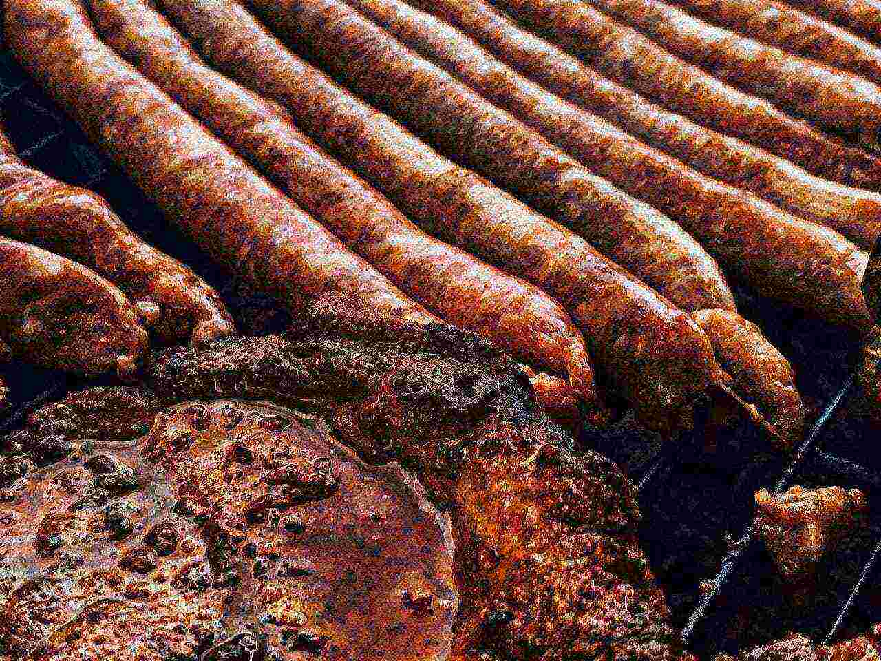 Photo of processed meat by Dids via pexels